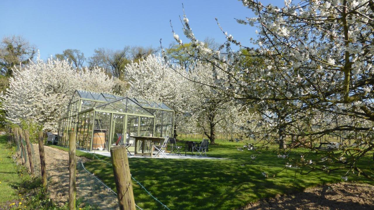B&B Casa De Paja Sint-Truiden Kültér fotó